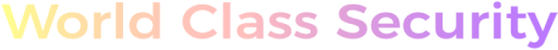 World Class Security highlight