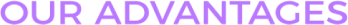 Our Advantages title